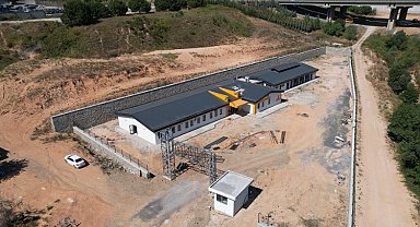 Sokak hayvanları için rehabilitasyonda sona doğru