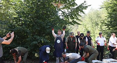 Sülünler doğaya salındı