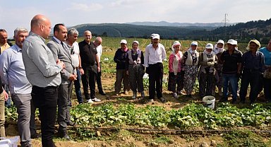Tarım işçisinin koruyucu ekipmanları Manisa'dan