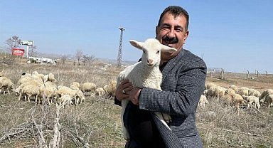 TÜDKİYEB: Aşırı sıcaklar hayvancılığı da olumsuz etkiliyor