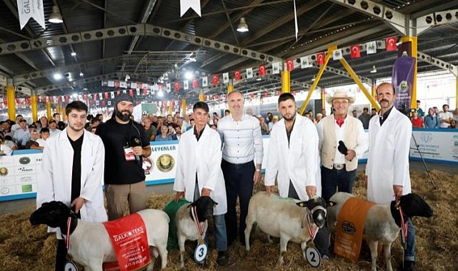 Türkiye'nin en kapsamlı küçükbaş hayvancılık festivali için geri sayım başladı