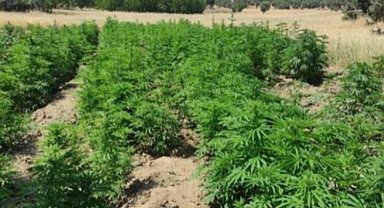 Yılın en yüksek narkoterör operasyonu... Terör örgütüne narkoterör darbesi!