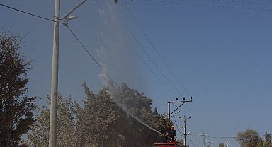 Bandırma'da elektrik hatlarında itfaiye destekli temizlik