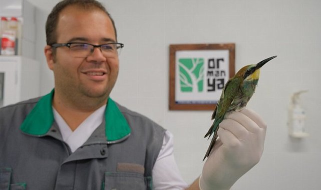 Bu güzelliğe nasıl kıydınız!
