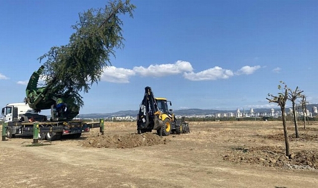 Bursa'da yeşil transferi sürüyor