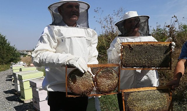 Büyükçekmece'de ilk bal hasadı gerçekleşti