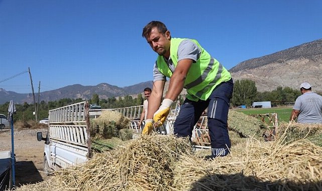 Eskişehir'de üreticilere yonca desteği