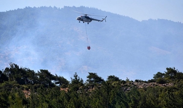 Manisa'daki orman yangını kontrol altında
