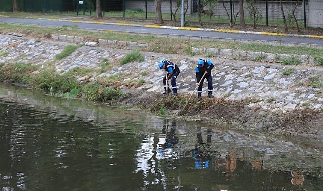 Sakarya Çark Deresi'nde rutin temizlik