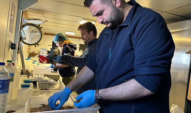 Biyoçeşitlilikte Ekim ayı araştırması tamam