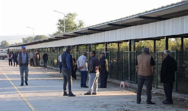 Bursa İnegöl'de hayvan pazarı geçici süreliğine kapalı
