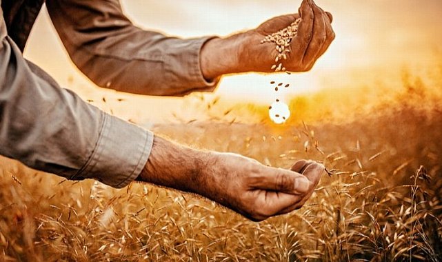 BUSİAD'dan gıda günü mesajı: Tarım politikaları yeniden belirlenmeli