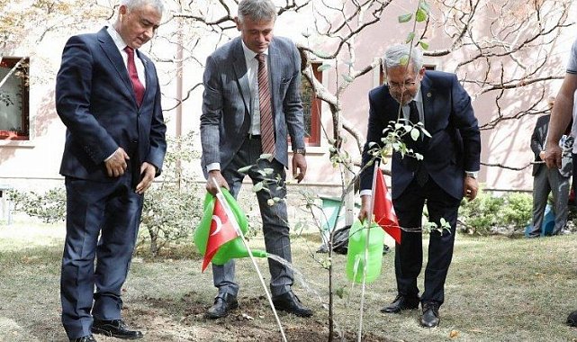 İsviçre'nin fidanı Ankara'da yeşerecek
