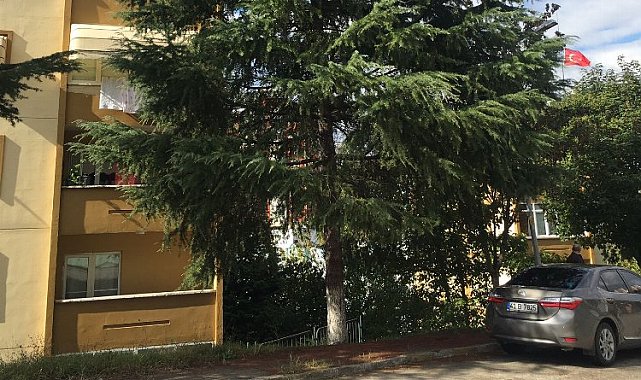 İzmit'te tehlikeli ağaçlara müdahale ediliyor