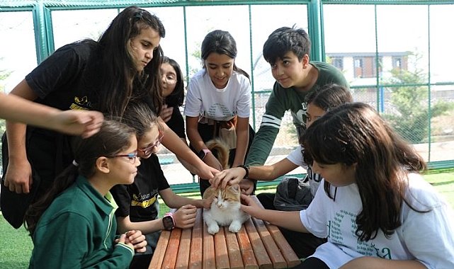 Kayseri Kocasinan'da Kedi Kasabası'na yoğun ilgi