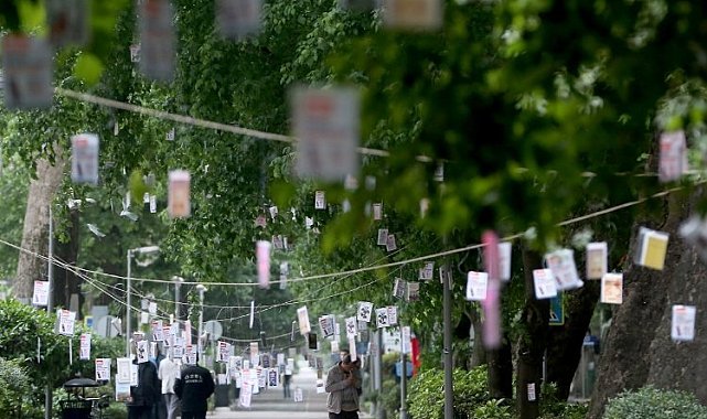 Kocaeli'de 5 bin kitap ağaçtan toplanacak