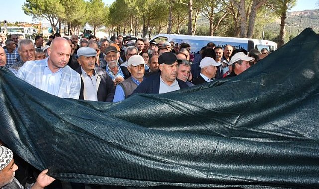 Manisa'da zeytinin başkenti Akhisar'a Büyükşehir'den destek