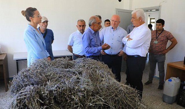 Muğla'da 'tarımsal güçbirliği' üreticiye kazandırıyor