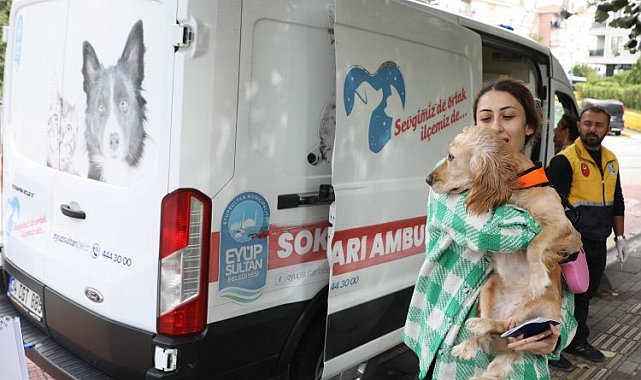 Sokak hayvanları ambulansı Eyüpsultan'ın mahallelerinde