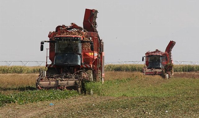 Üretici ortağa 181 milyon TL pancar söküm avansı