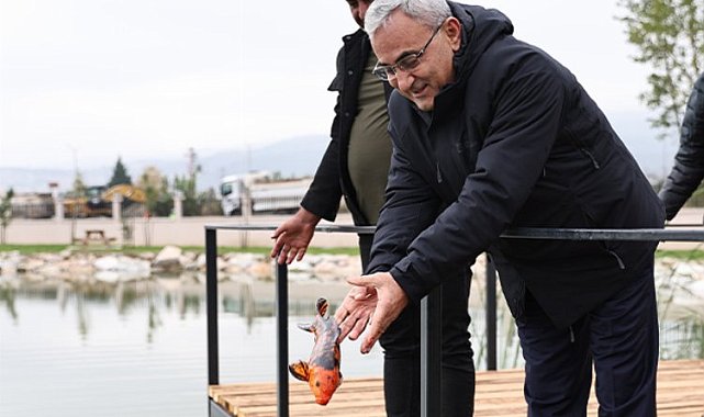 Yedigöller'e koi balığı bırakıldı