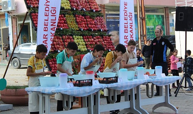 Bilecik İnhisar'da şenlikli nar hasadı