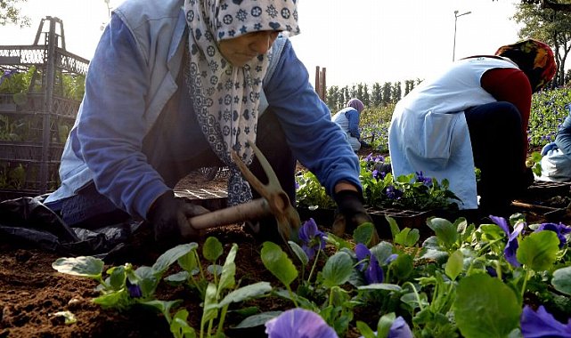 Bursa Osmangazi'de 400 bin çiçek toprakla buluşuyor