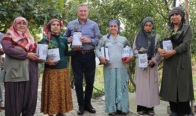 Hatay'da 700 aileye daha fidan desteği