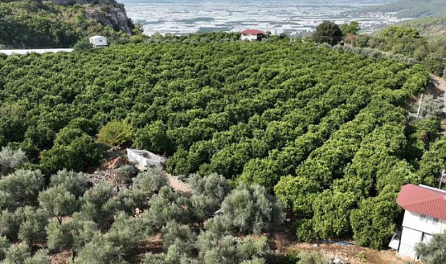 Kapalı devre sulama yüzleri güldürdü