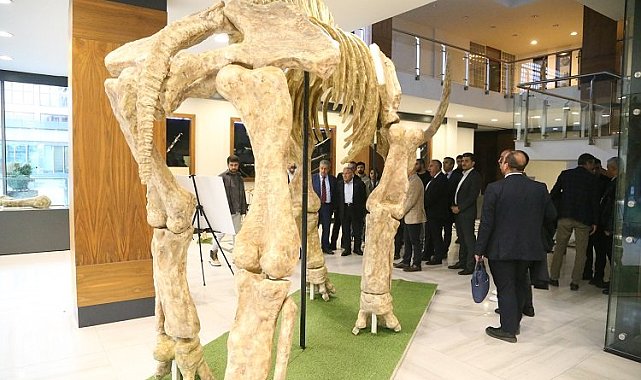Kayseri Büyükşehir fosil faunasını canlandıracak