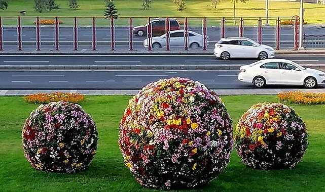 Kayseri Büyükşehir'le Kayseri çiçek bahçesine döndü