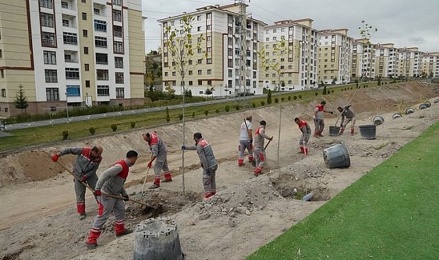 Kayseri Melikgazi'de ilçe yeşile boyanıyor