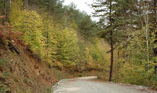 Küçükelmalı Tabiat'ta sonbahar