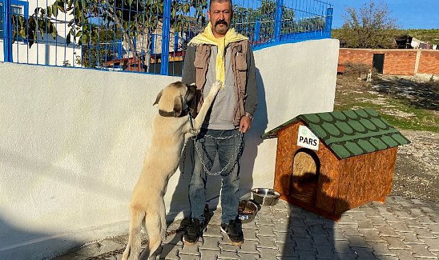 Manisa'da bir 'can dost' daha yuvasında