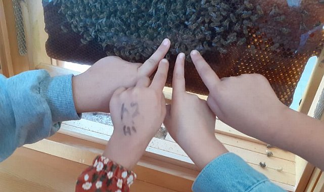 Manisalı minikler arıların dünyasını keşfetti