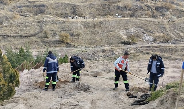 Nevşehir Belediyesi'nden 24 Kasım anısına fidan