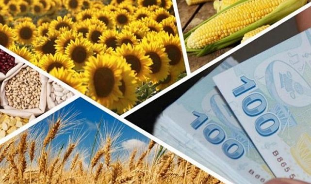 1 milyar 81 milyon TL tarımsal destek hesaplarda
