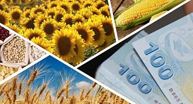 3,5 milyar liralık tarımsal destek ödemeleri yapılıyor