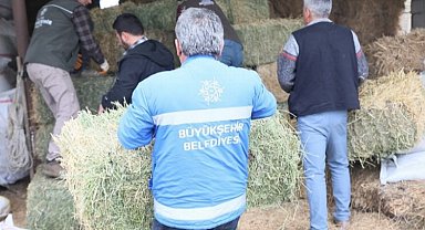 Aydın'da üreticiye büyük destek