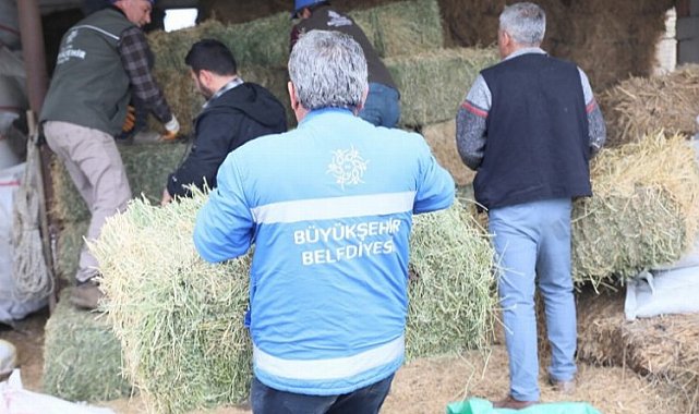 Aydın'da üreticiye büyük destek
