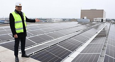 Balıkesir GES'leri ağaç kurtarıyor