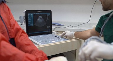 Bandırma patili dostların yanında