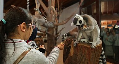 Bursa'da karne hediyesi; Hayvanat Bahçesi