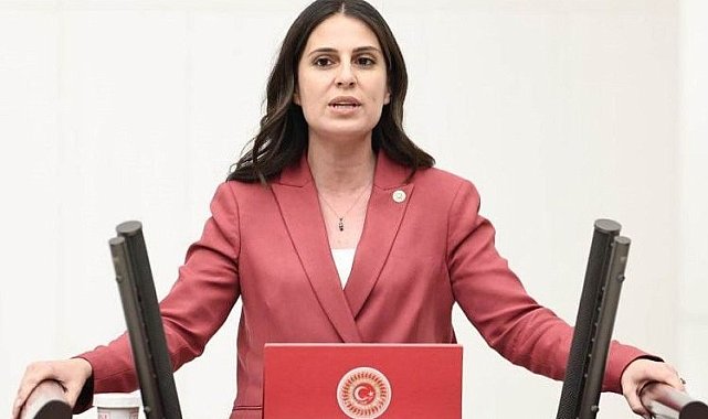 CHP Muğla Milletvekili Özcan: "Bu yatırım programı haksızlık sertifikasıdır"