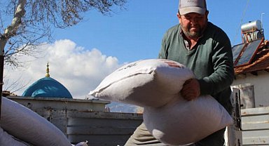 Elmalılı üreticilere süt yemi desteği