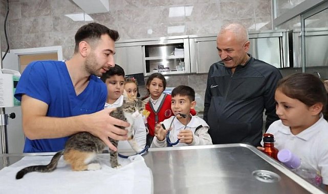 Gebze'de 2023 patili canların yılı oldu