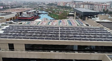 GES binlerce ağacı kurtarıyor