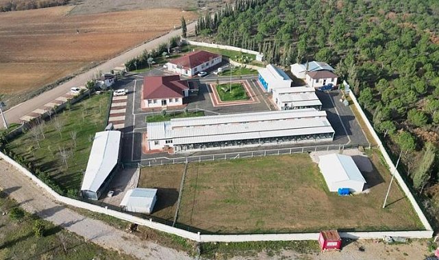 İnegöl can dostlarının güvenli yuvası
