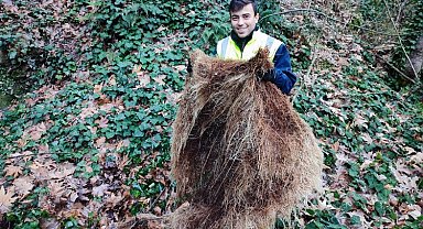 Manisa Salihli'de kunduz çıktı!