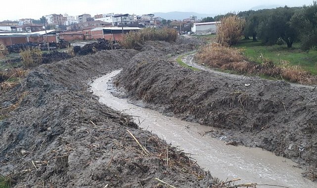Manisa Zeytinliova'da dere temizliği